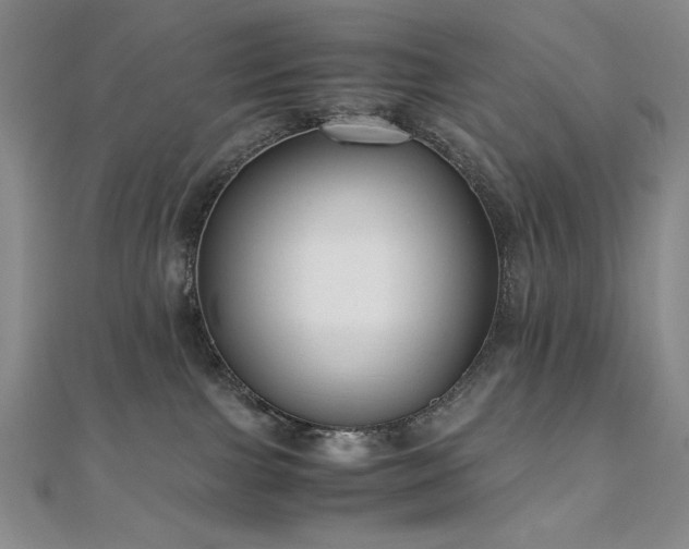 X0000111010091200906191620