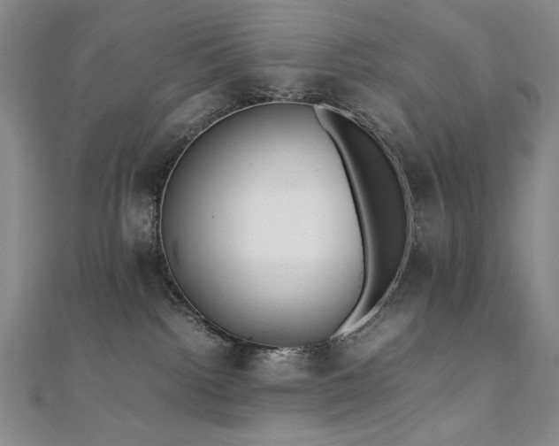 X0000111010092200906191620