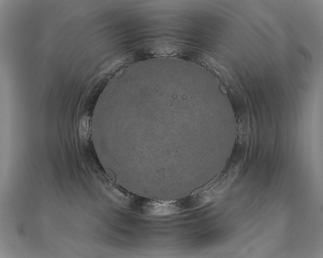 X0000111010093200906191620