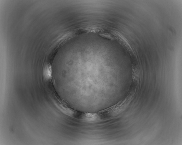 X0000111010095200906191621