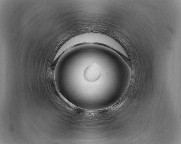 X0000111010096200906191621