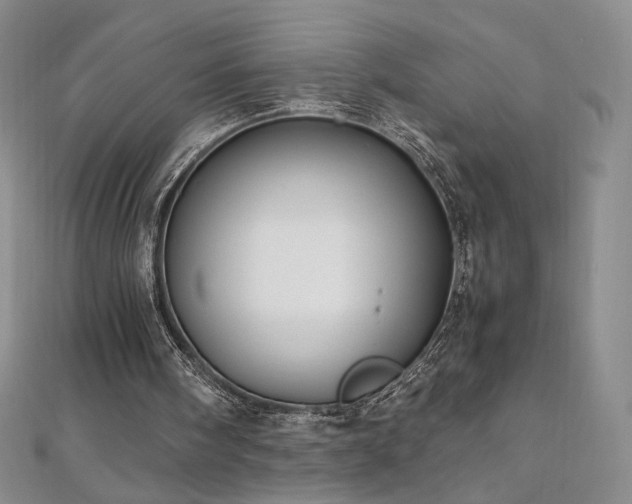 X0000111010098200906191620