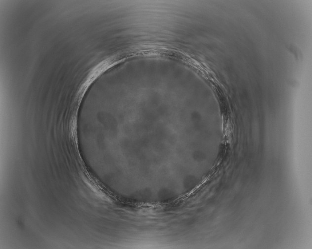 X0000111010099200906191620