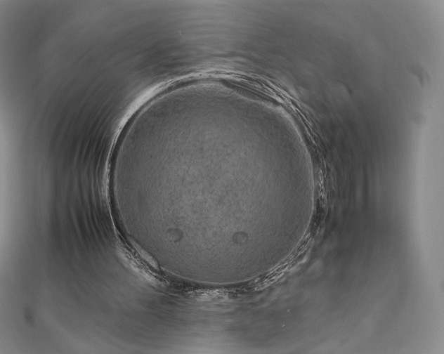 X0000111010100200906191620