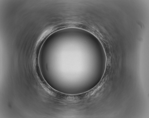X0000111010101200906191620