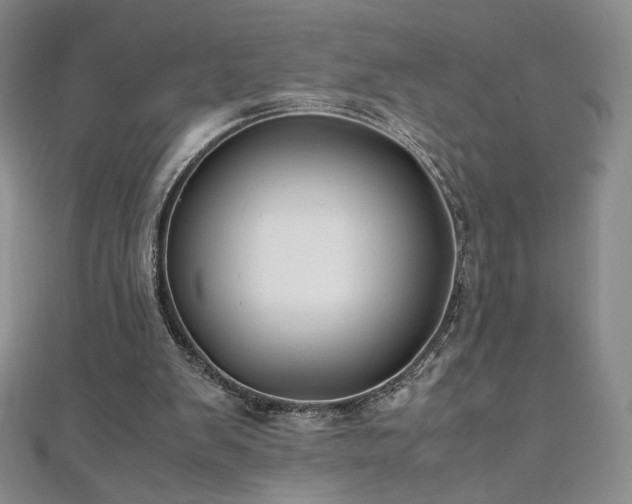X0000111010103200906191620
