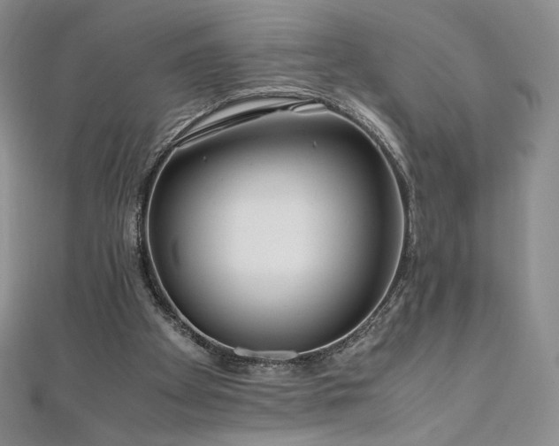 X0000111010105200906191620