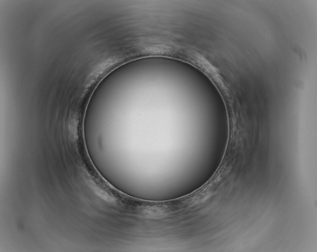 X0000111010106200906191620