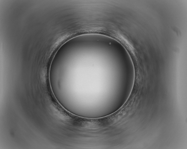 X0000111010107200906191620