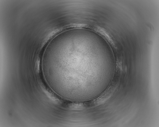 X0000111010110200906191620