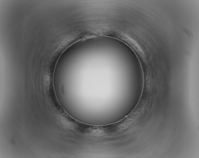 X0000111010113200906191620