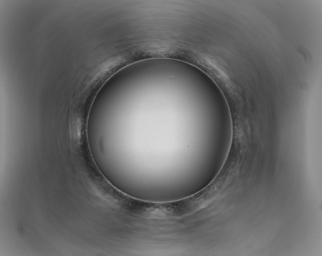 X0000111010115200906191620