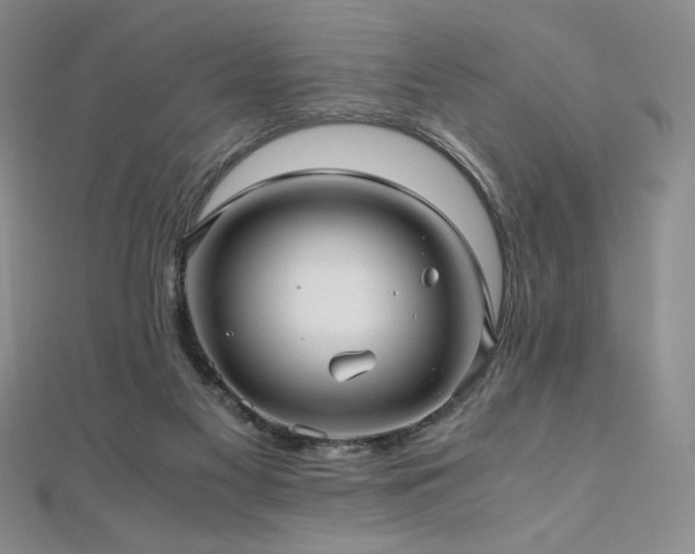X0000111010117200906191619