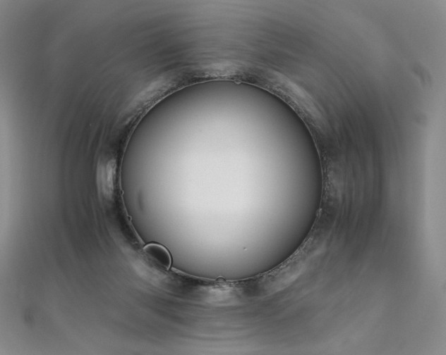 X0000111010118200906191619