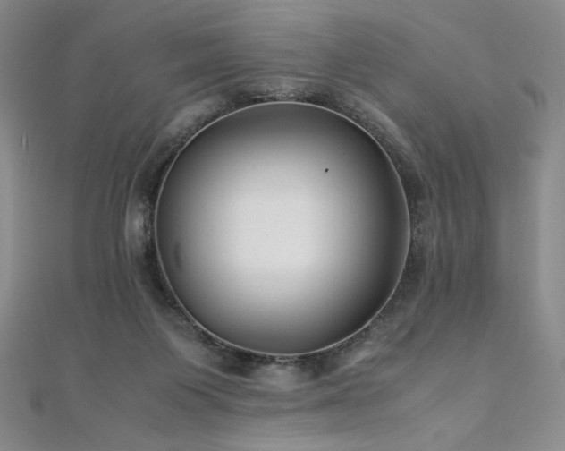 X0000111010119200906191619