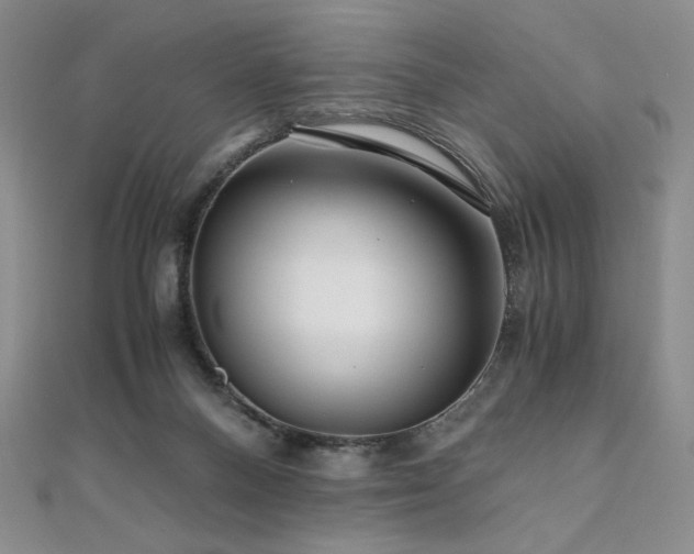 X0000111010120200906191619