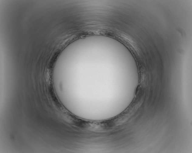 X0000111010121200906191619