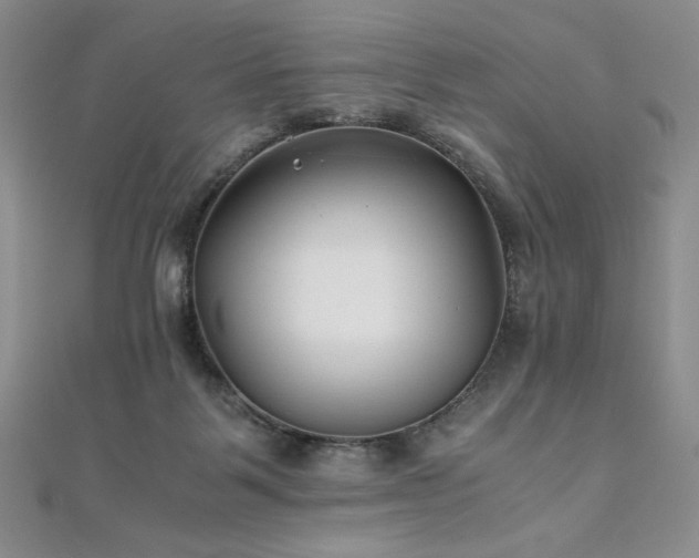 X0000111010123200906191619