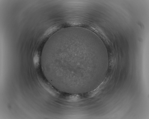 X0000111010124200906191619