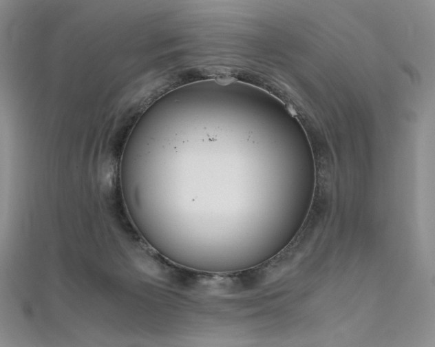 X0000111010125200906191619