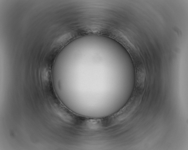 X0000111010126200906191619