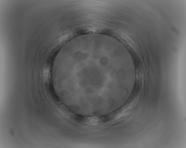 X0000111010127200906191619