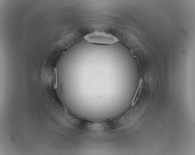 X0000111010129200906191619