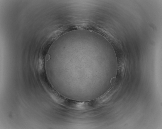 X0000111010130200906191619