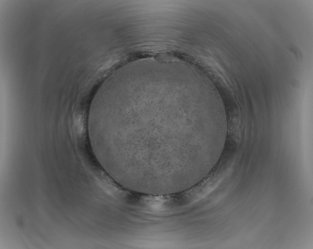 X0000111010131200906191619