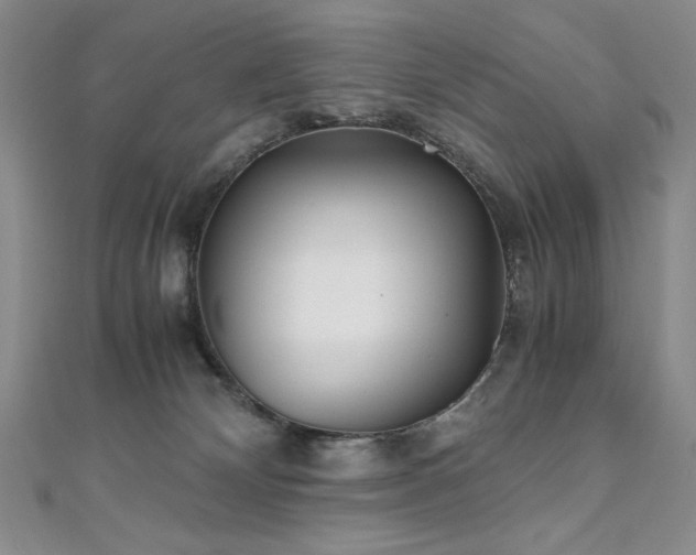 X0000111010132200906191619