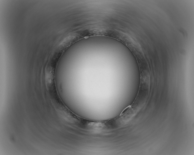 X0000111010133200906191619