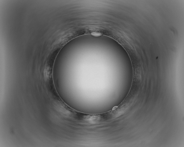 X0000111010135200906191619