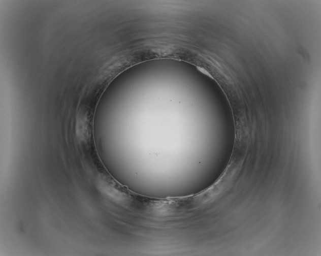 X0000111010136200906191619
