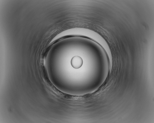 X0000111010137200906191619