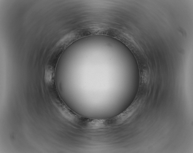 X0000111010138200906191619