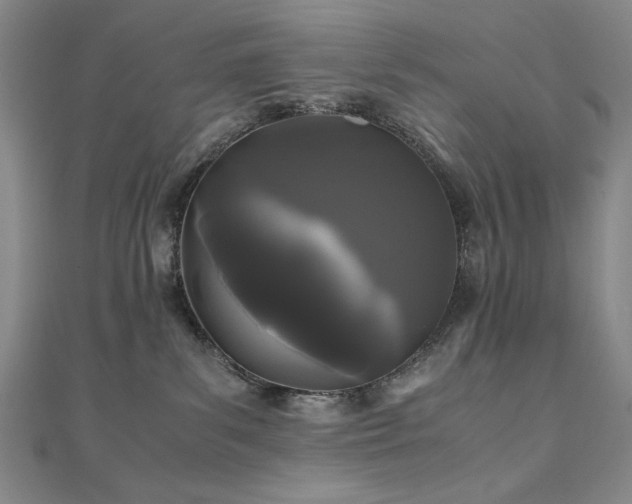 X0000111010139200906191619