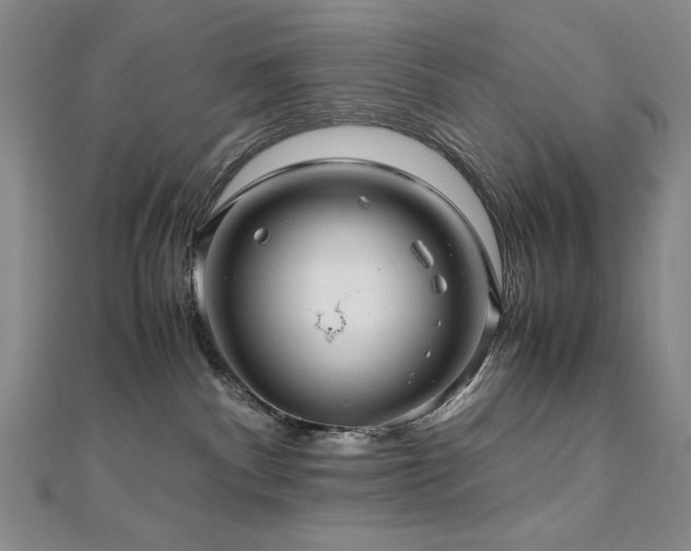 X0000111010140200906191619