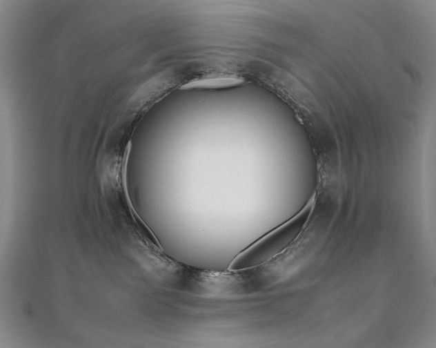 X0000111010141200906191619