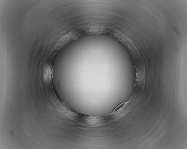 X0000111010142200906191619