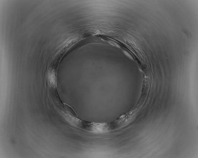 X0000111010143200906191619