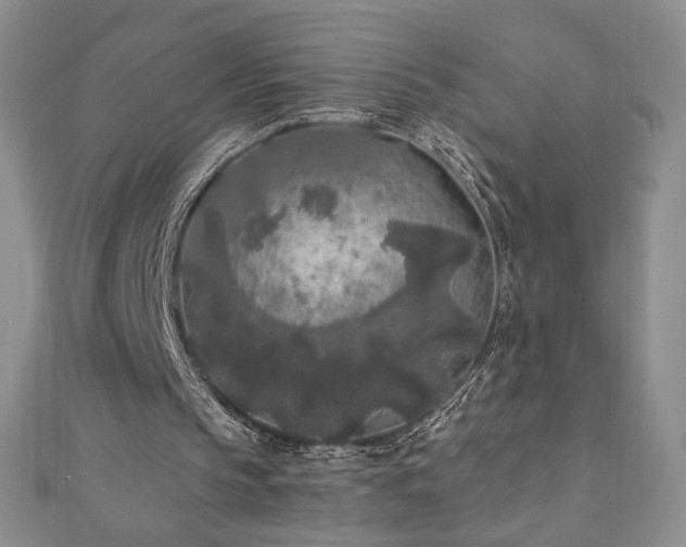 X0000111010145200906191619