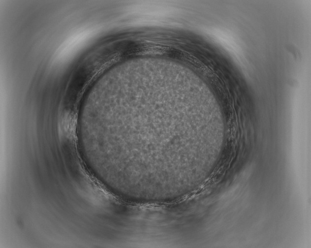 X0000111010146200906191619