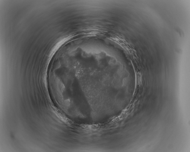 X0000111010147200906191619