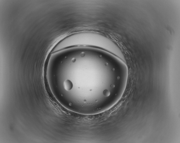 X0000111010148200906191619