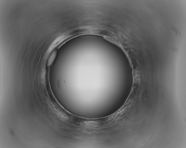 X0000111010150200906191619