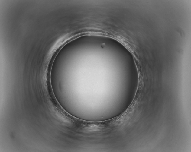 X0000111010151200906191619