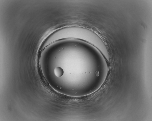 X0000111010152200906191619