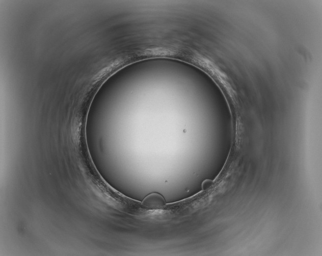 X0000111010153200906191619