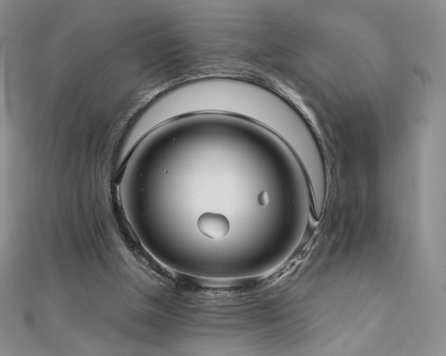 X0000111010154200906191619