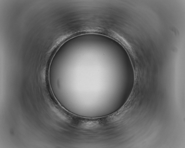 X0000111010155200906191619